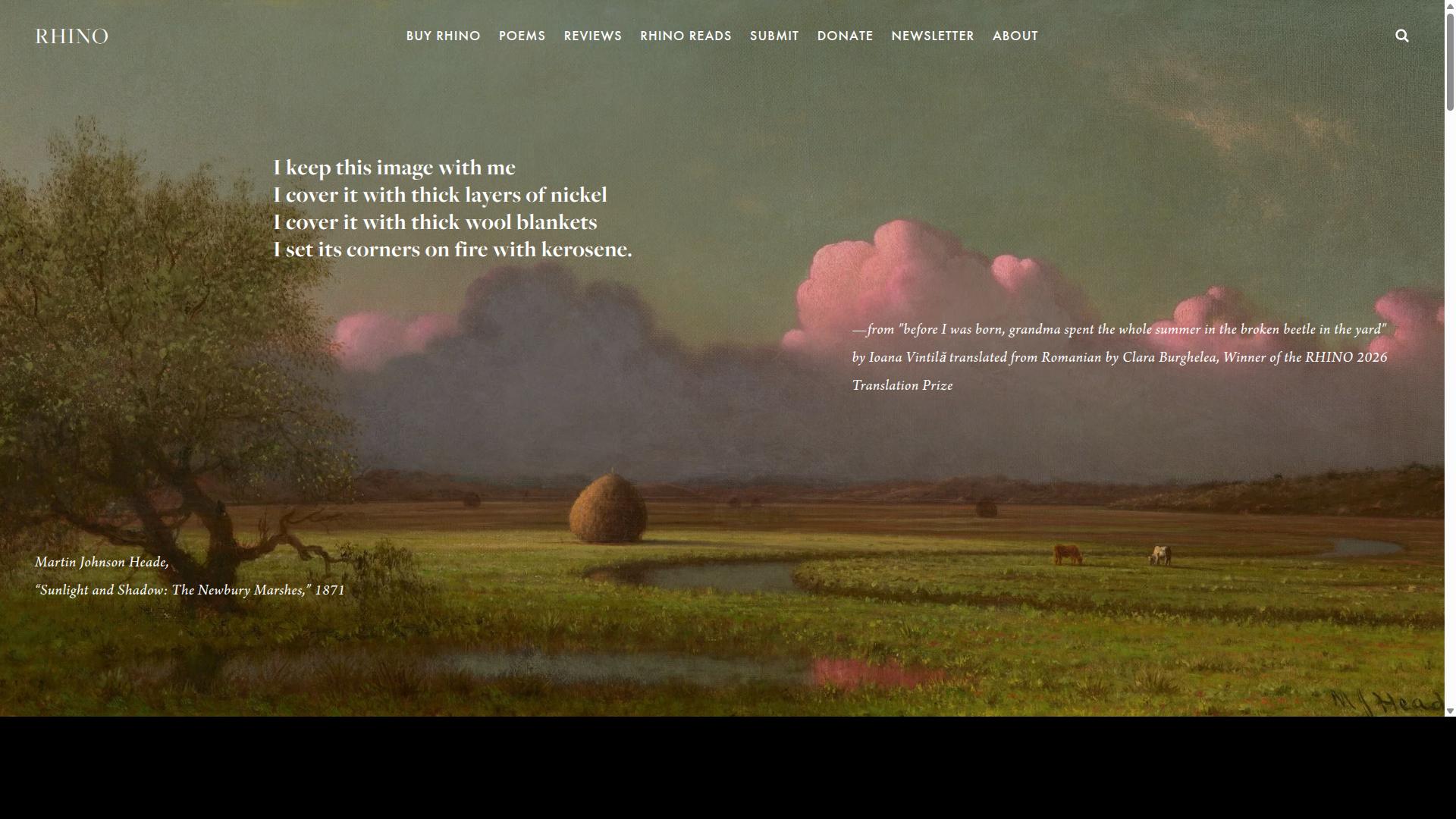 Rhino Reviews website